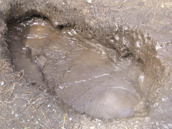 070904-124254MM
