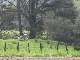 070908-100044BG