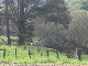 070908-100056BG